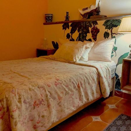 Pozzito Boutique Bed & Breakfast San Miguel de Allende Ngoại thất bức ảnh