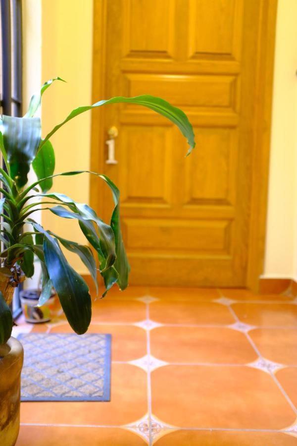 Pozzito Boutique Bed & Breakfast San Miguel de Allende Ngoại thất bức ảnh